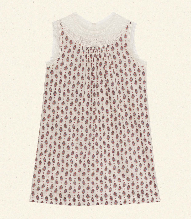 LEONORE DRESS -- PROVENCAL PAISLEY